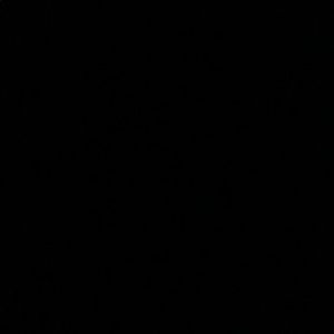 Meet your Posher, Vinny